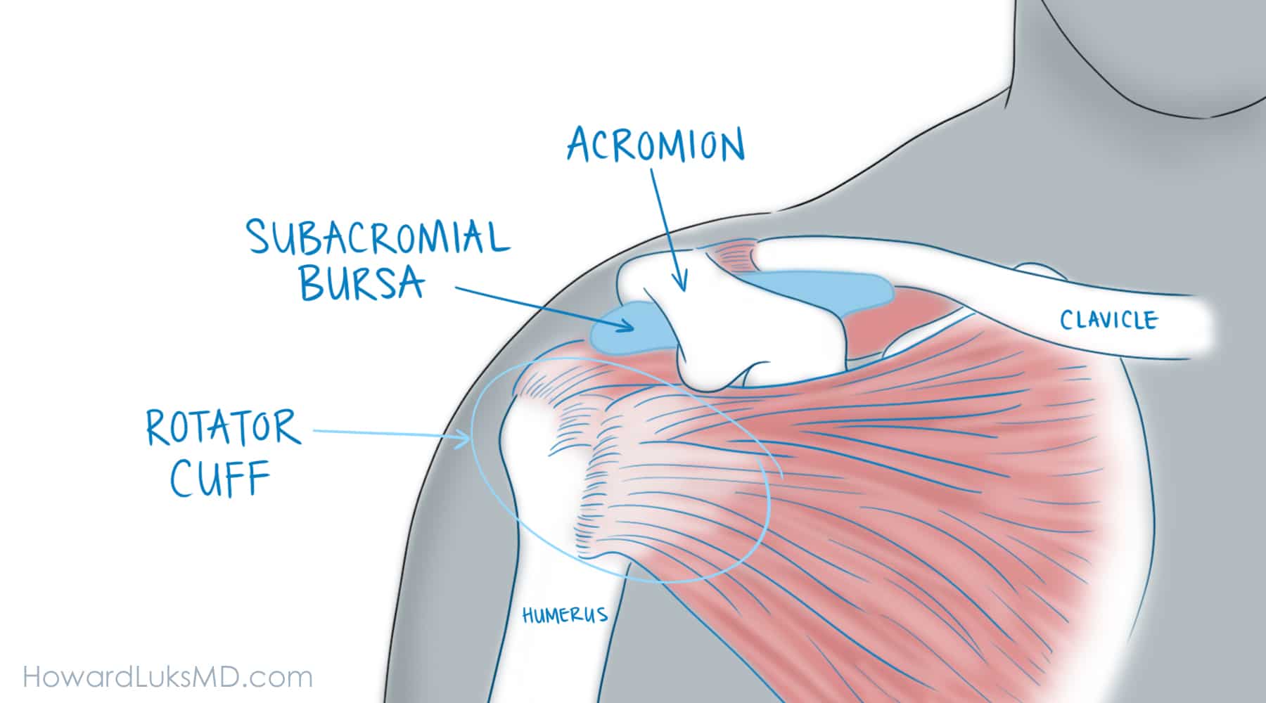 Causes of Shoulder Pain Without Injury