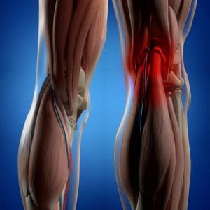 anatomy behind the knee