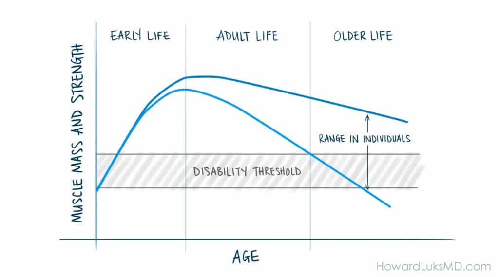 muscle mass for improved longevity and health