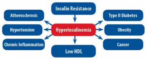 the effects of hyperinsulinemia