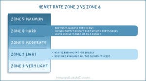 Zone 2 versus Zone 4