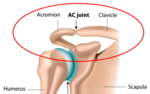 Normal AC Joint