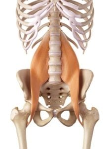 hip pain and popping in a runner psoas tendon
